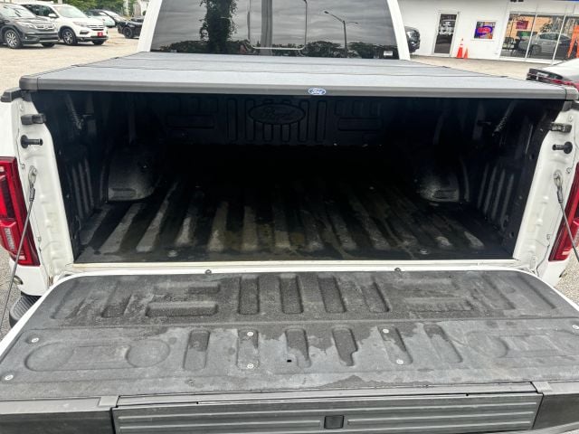 2018 Ford F150 SuperCrew Cab Raptor Pickup 4D 5 1/2 ft Photo in Virginia Beach VA 23462